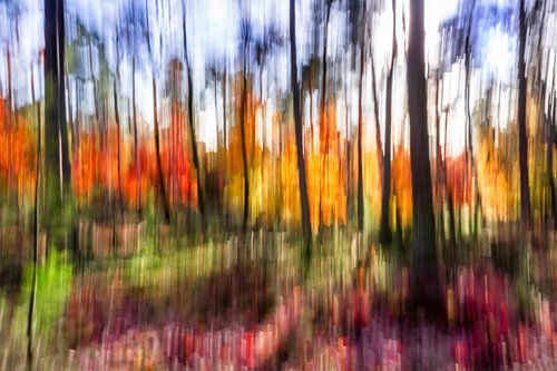 Autumn on fire by Patty Elferink