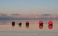 Kleurrijke boeien op het strand van Michel Knikker thumbnail