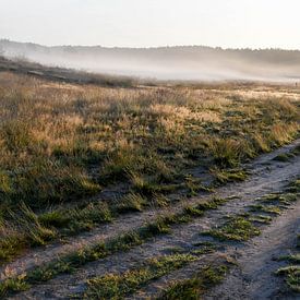 Heathland with mist by Nancy Lamers