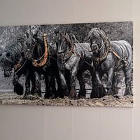 Photo de nos clients: Chevaux de trait de Zeeland par Carina Dumais, sur toile