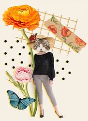 Kopf der Katze