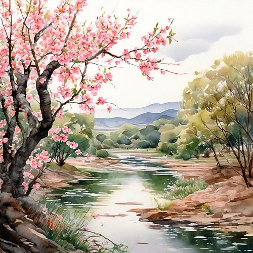Cherry Blossom Stream