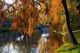 Der Stadtkanal (Tolsteegsingel) in Herbstfarben (Landschaft). von André Blom Fotografie Utrecht