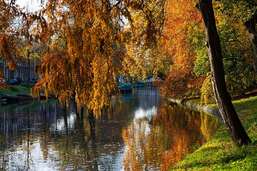 Der Stadtkanal (Tolsteegsingel) in Herbstfarben (Landschaft). von André Blom Fotografie Utrecht