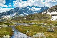 Sustenpass landscape