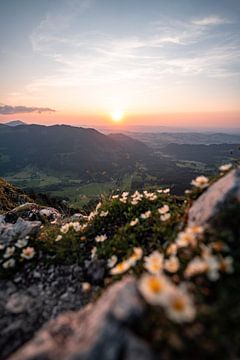 blumiger Sonnenuntergang am Sorgschrofen von Leo Schindzielorz