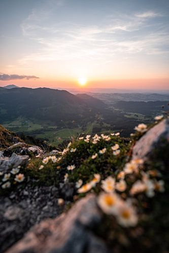 Bloemrijke zonsondergang bij Sorgschrofen