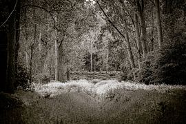 Broekpolder, Vlaardingen by Rick Keus
