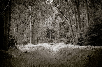Broekpolder, Vlaardingen
