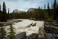 Snel stromende rivier Rocky Mountains