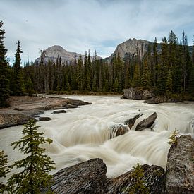 Snel stromende rivier Rocky Mountains von Nathalie Daalder
