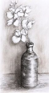 Vase avec orchidées blanches. Dessiné à la main