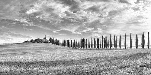 Zonnig Toscaans landschap met cipressenpad in zwart-wit
