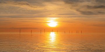 Sonnenuntergang über dem IJsselmeer mit einem Reiher auf einem Fallenpfahl von Harrie Muis