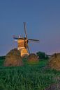 Kinderdijk von Jan Koppelaar Miniaturansicht