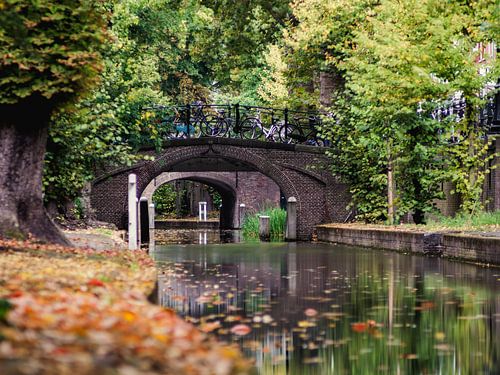Herfst Bij De Nieuwegracht In Utrecht