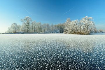 Frozen lake with frosted trees by Merijn van der Vliet