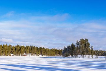 Landschap met sneeuw in de winter in Kuusamo, Finland van Rico Ködder