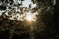Sonnenuntergang | Reisefotografie Druck Rom Italien Kunstdruck