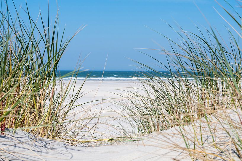 Strand Sehnsucht von Freek Rooze