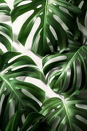 Monstera leaves - Tropical art print by Poster Art Shop