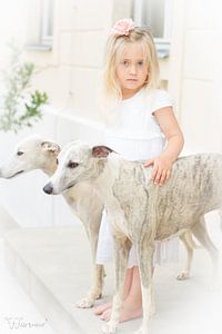 Mistress of Whippets