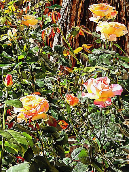 Rose nichée sous un arbre par Dorothy Berry-Lound