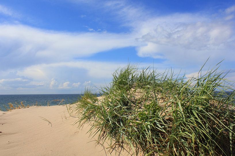 Dünen  im Mai van Ostsee Bilder