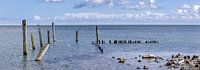Alter Hafen von Sil (Texel)