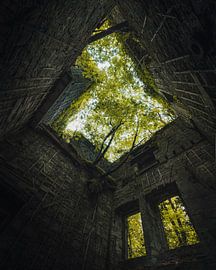 Wo die Natur das Schloss zurückerobert 2 von Jip van Bodegom