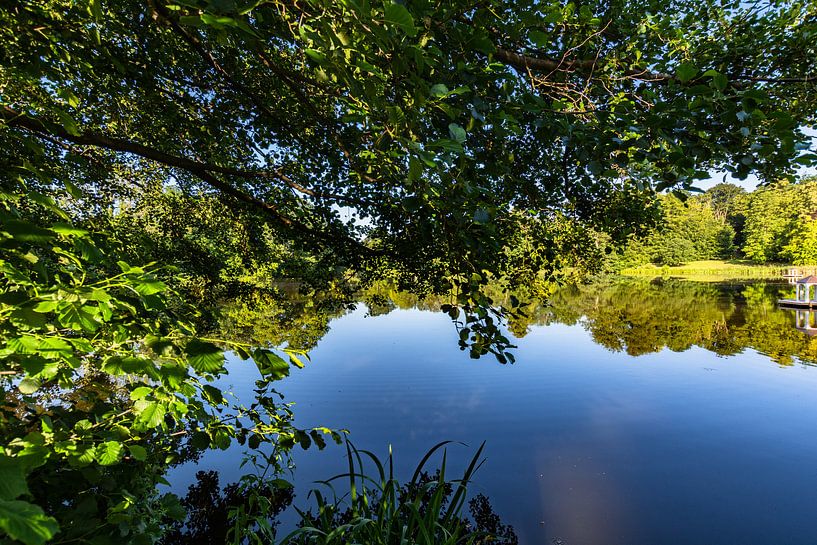 Swan pond in Putbus castle park by GH Foto & Artdesign