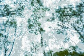 Forêt d'arbres verts | Photographie artistique de la nature sur Nanda Bussers