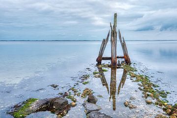 Morsches Holz von Henrys-Photography