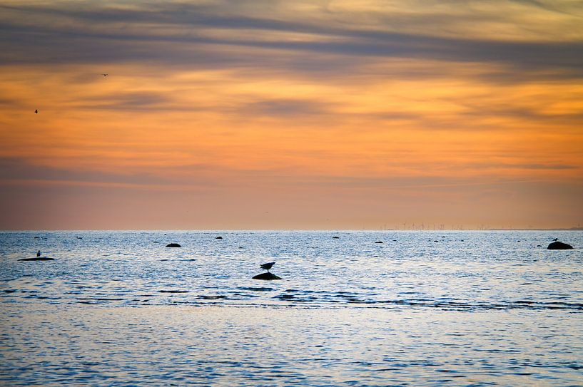 Zonsondergang op het strand van Zingst, romantisch van Martin Köbsch