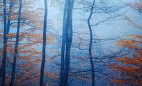 Der blaue Herbst von Loris Photography Miniaturansicht