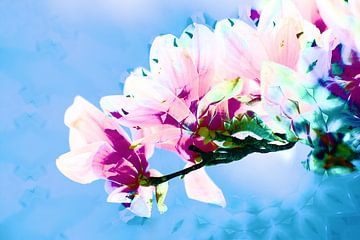 Frühling im Aufbruch von Steffi Hommel