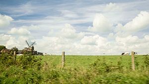 Windmolen van Appelterre 
