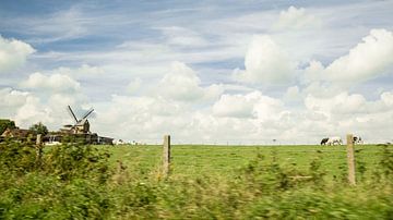 Windmolen van Appelterre 