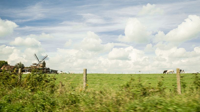 Windmolen van Appelterre  van Ronald De Neve