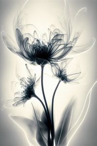 Magische Blumen