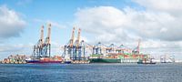 Containerschepen bij de containerterminal in de haven van Rotterdam van Sjoerd van der Wal Fotografie thumbnail