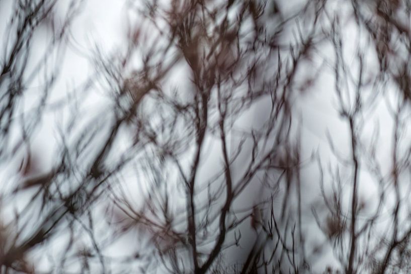 Abstraktes Bild von sich bewegenden Zweigen - vom Wind bewegt von Chi