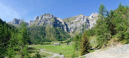Frohnalm und Hochweißstein