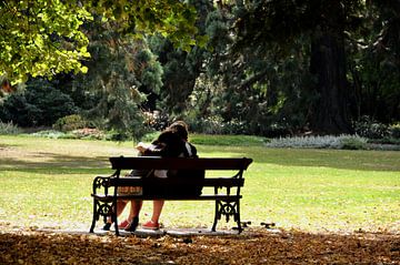 Een romantisch moment in een park in Nieuw-Zeeland van Frank Photos