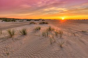 Coucher de soleil sur la plage près du phare De Cocksdorp à Texel