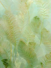 Zachte varenbladeren in pastelgroen