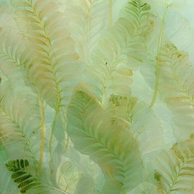 Zarte Farnblätter in Pastellgrün von But First Framing