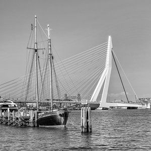 Vue de la rive de la Nieuwe Maas à Rotterdam | Monochrome