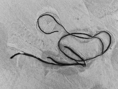 Liggend naakt_Schierblikken_RW_#2 von Bernadette van Beurten | ideeënkunstenaar| SCHIERBLIKKEN |