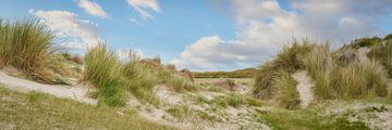 Dune dans la réserve naturelle De Slufter à Texel